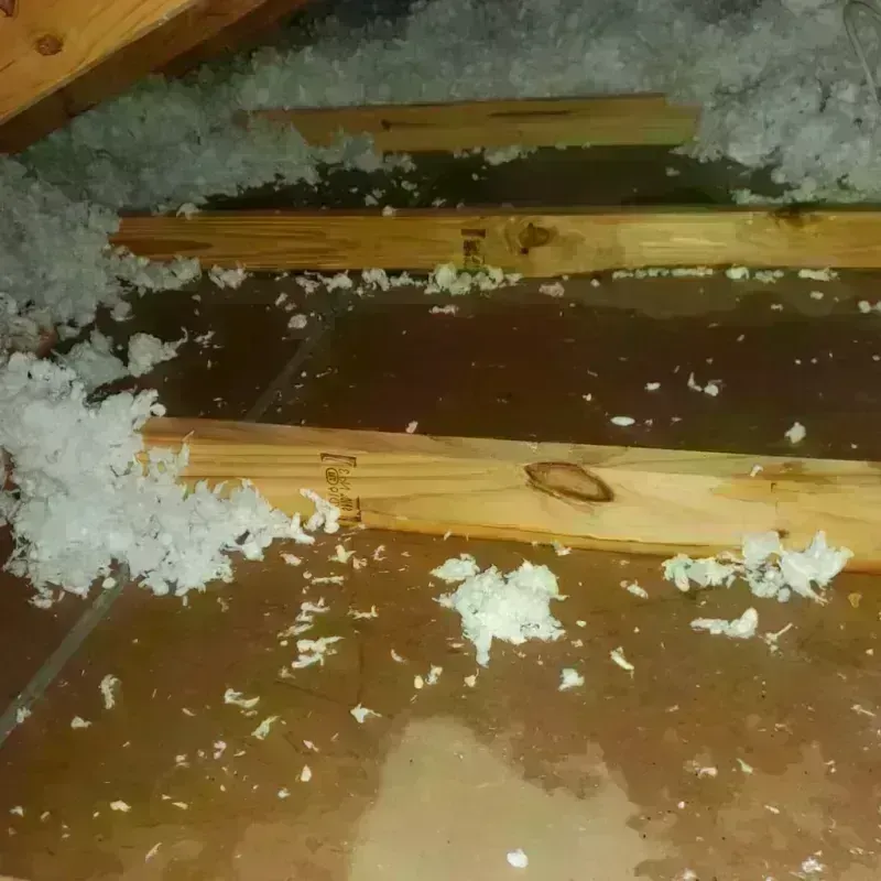 Attic Water Damage in Center, ND