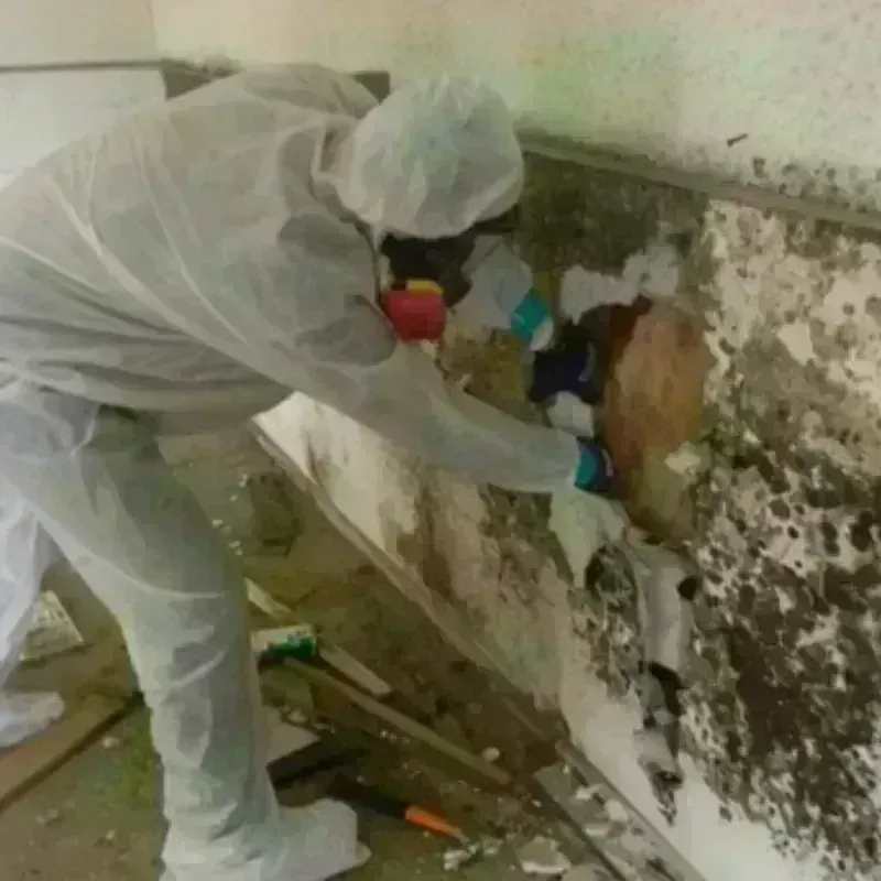 Mold Remediation and Removal in Center, ND