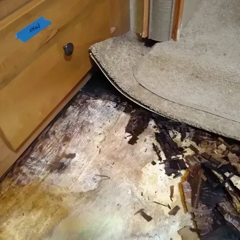 Wood Floor Water Damage in Center, ND